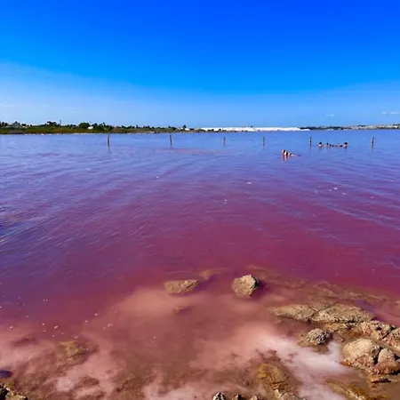 Feliz Acepto Mascotas Holiday home Torrevieja