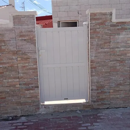 Feliz Acepto Mascotas Torrevieja