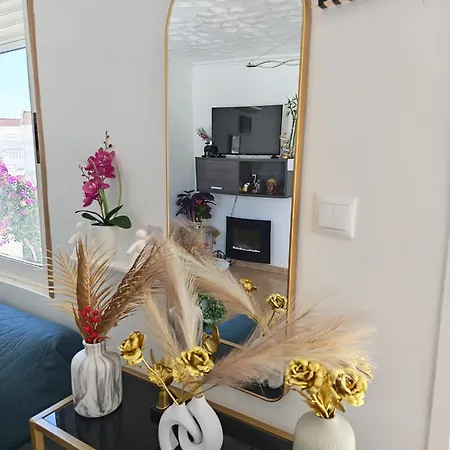 Feliz Acepto Mascotas * Torrevieja