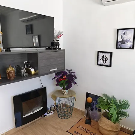 Feliz Acepto Mascotas