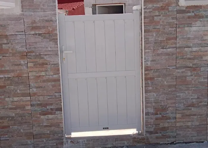 Feliz Acepto Mascotas Torrevieja