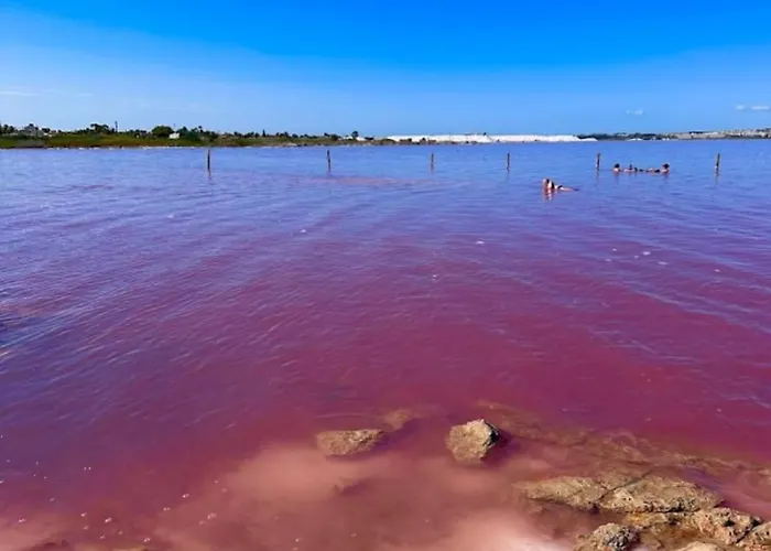 Feliz Acepto Mascotas Semesterbostad Torrevieja