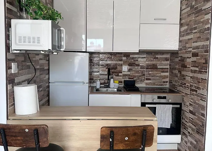 Feliz Acepto Mascotas Torrevieja