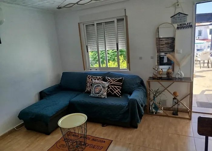 Feliz Acepto Mascotas Torrevieja