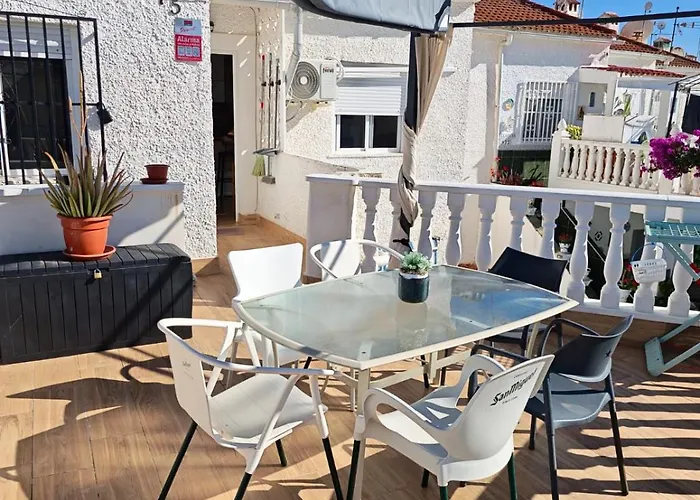 Feliz Acepto Mascotas Torrevieja