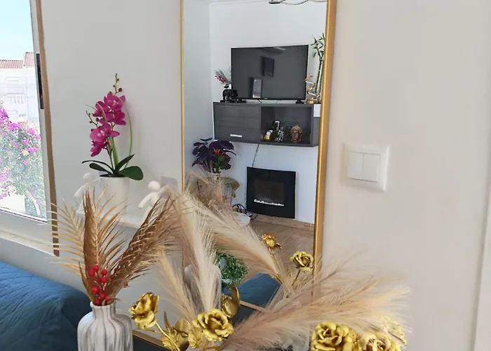 Feliz Acepto Mascotas * Torrevieja