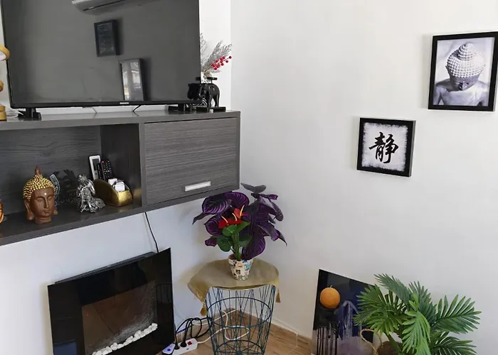 Feliz Acepto Mascotas