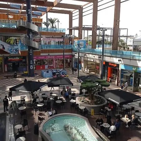 Feliz Acepto Mascotas トレビエハ