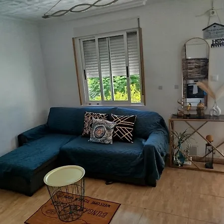 Feliz Acepto Mascotas トレビエハ