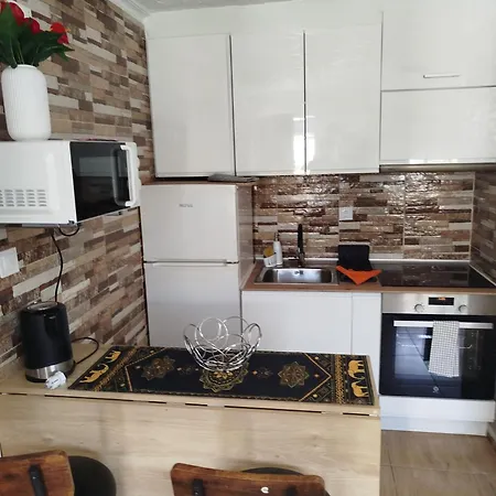 Feliz Acepto Mascotas 別荘