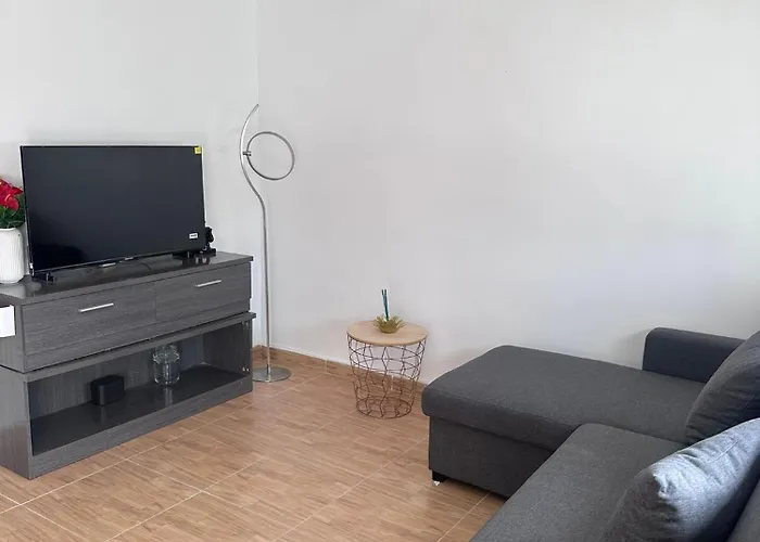 Feliz Acepto Mascotas * トレビエハ