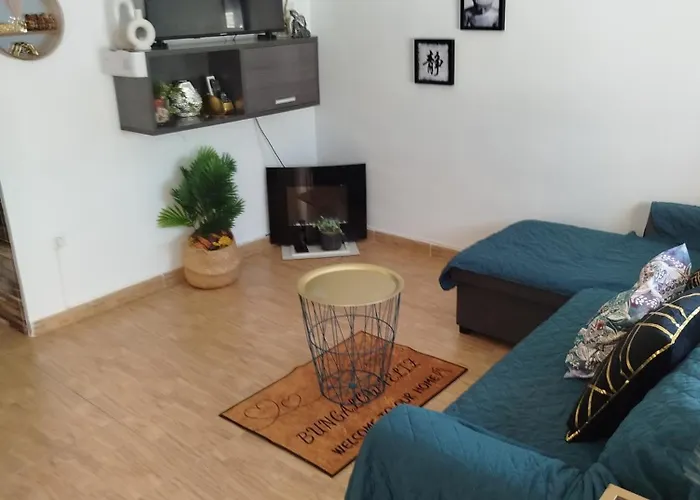 Feliz Acepto Mascotas * トレビエハ